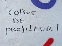 828626 Afbeelding van de graffiti-tekst 'Cobus de Profiteur', op de zijgevel van het pand Hogelanden W.Z. 38 te Utrecht.